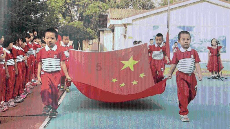 救援七星瓢虫