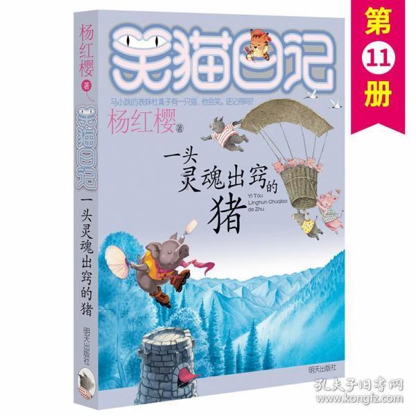 公子是女生