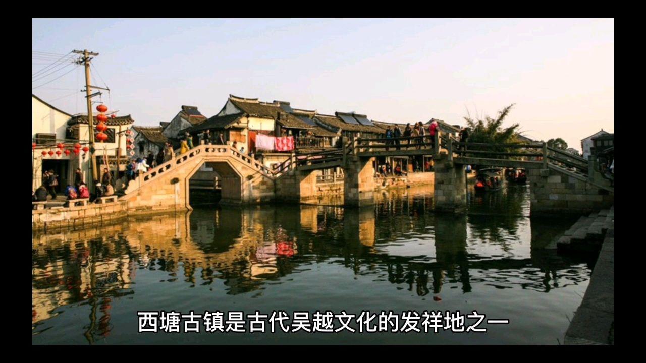 植物大战僵尸7